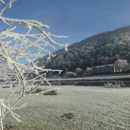 Hotel Weserstuben Bodenwerder Exteriör bild